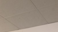 IMG_2353