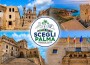 Palma